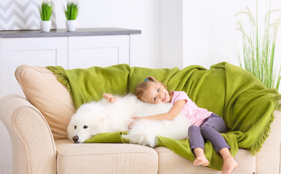 高雄沙發清潔-毛小孩