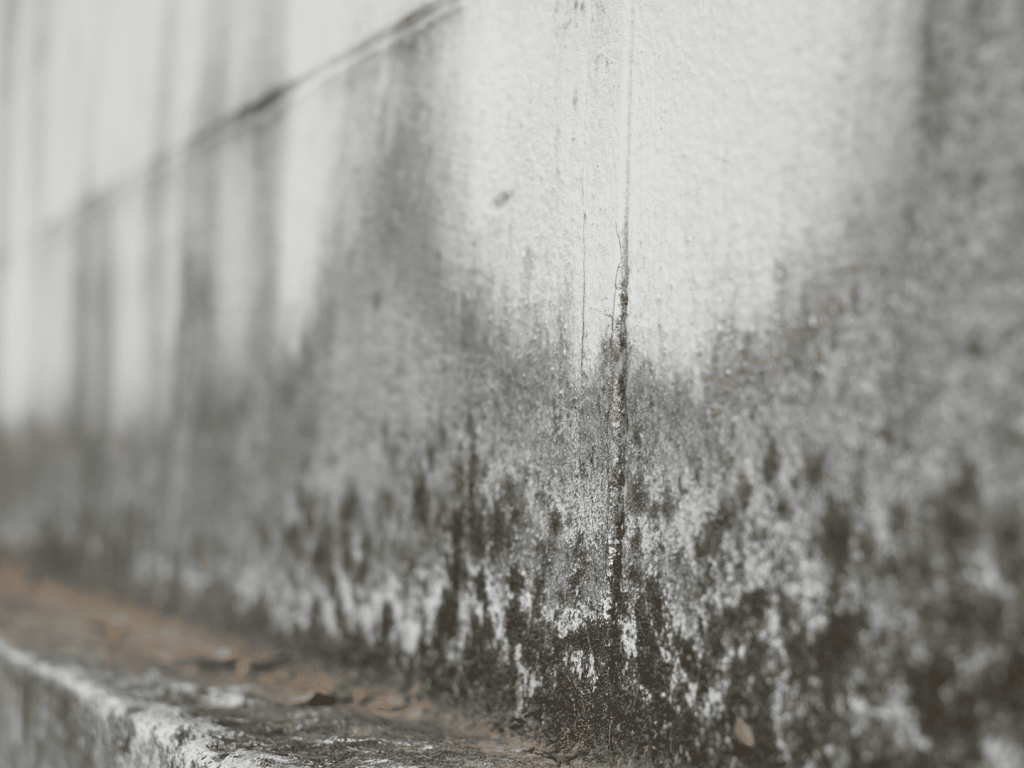 台南防水層剷除-牆壁發霉